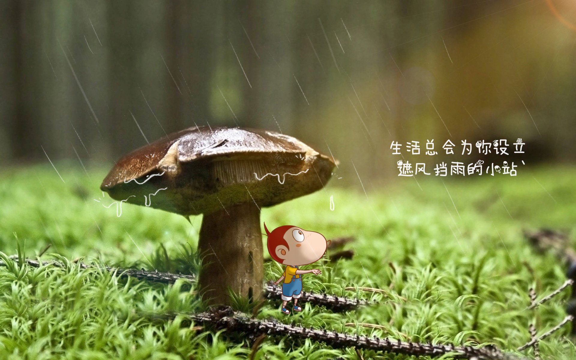 “中国足球青训体系升级,未来可期”,中国足球青训体系是什么