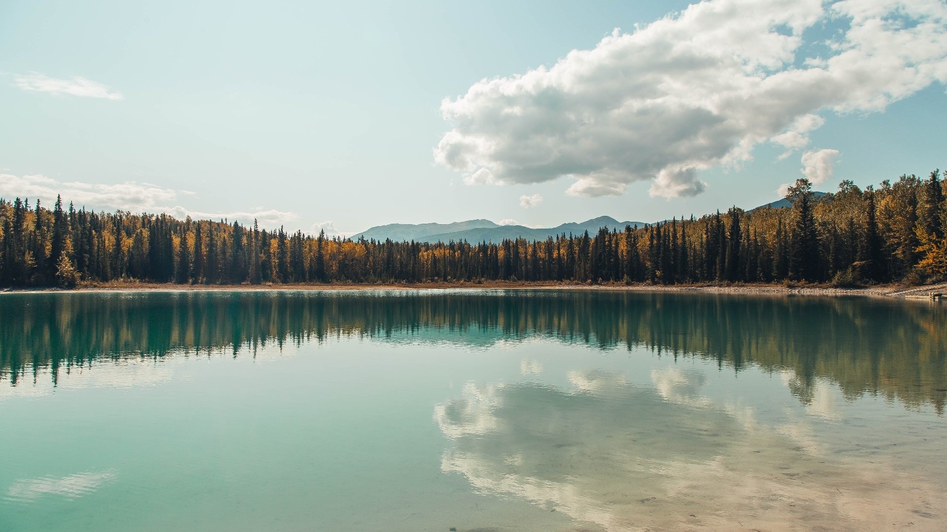快船连续两场“绝地反击”，展现“铁血精神”！，快船队被逆转视频
