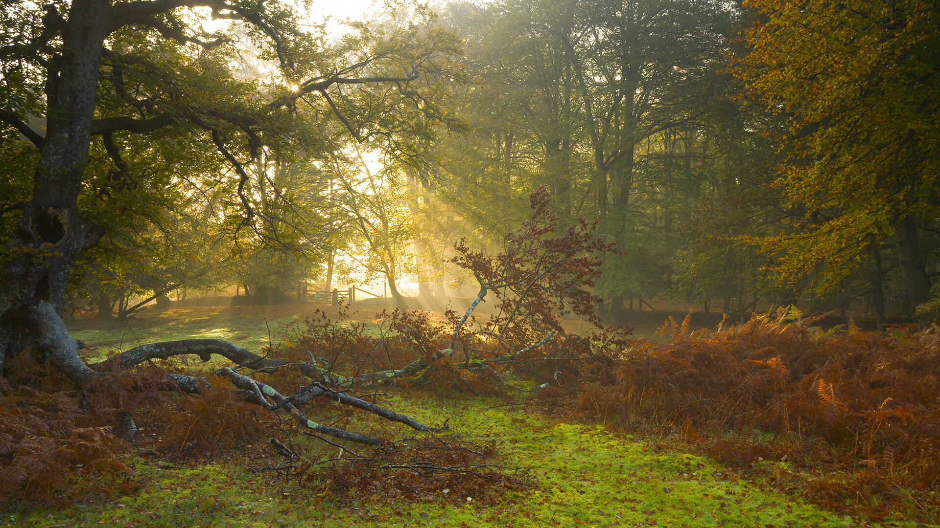 改革方案：提升比赛公平性的新措施研讨，如何保证比赛公平
