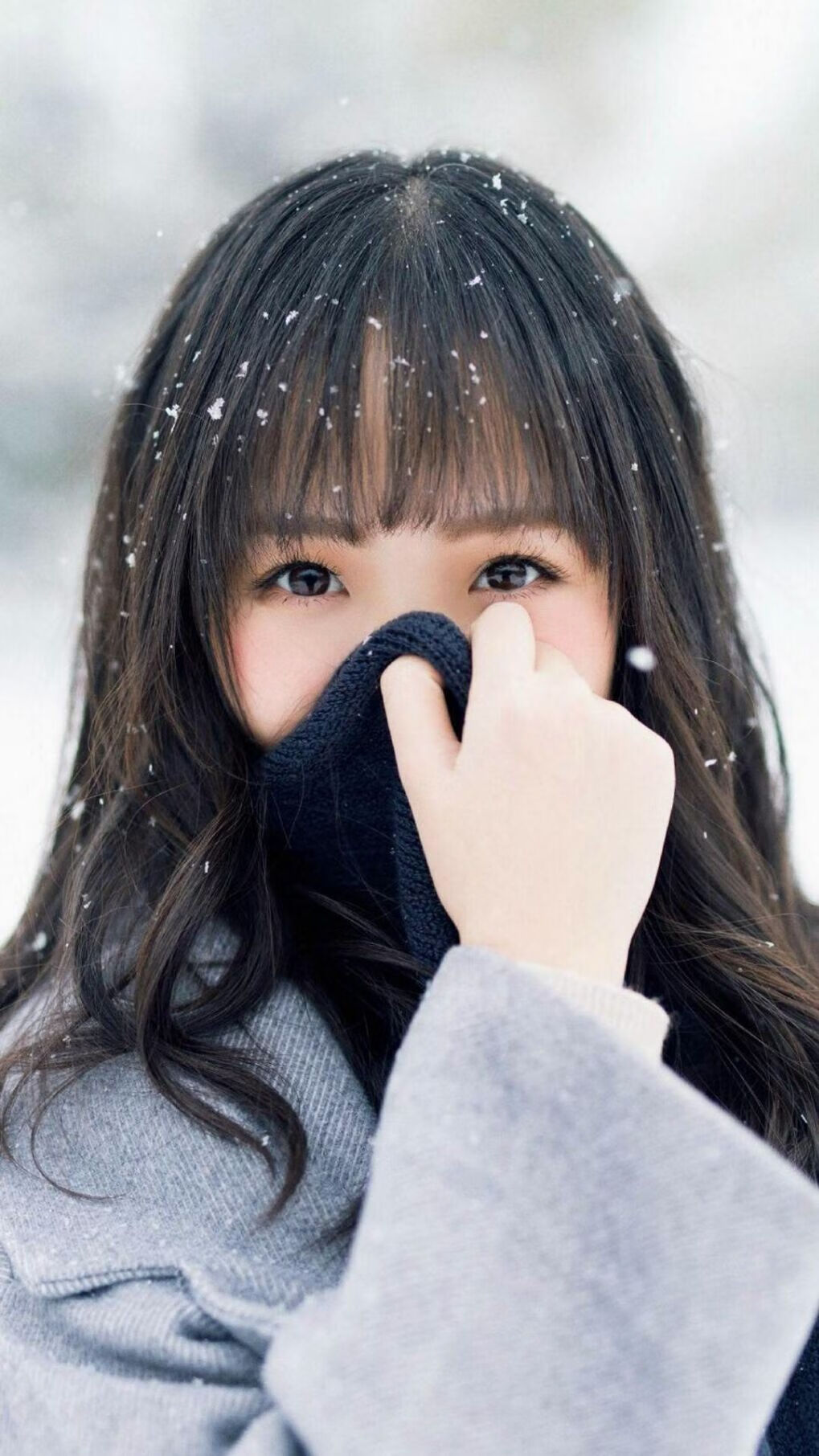 巴西骑手佩德罗·维尼斯在巴黎奥运会障碍赛中获得第九名,创造个人最佳成绩。